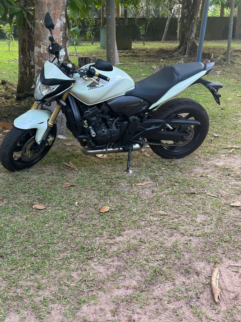 Hornet 600 2014 - Foto 3