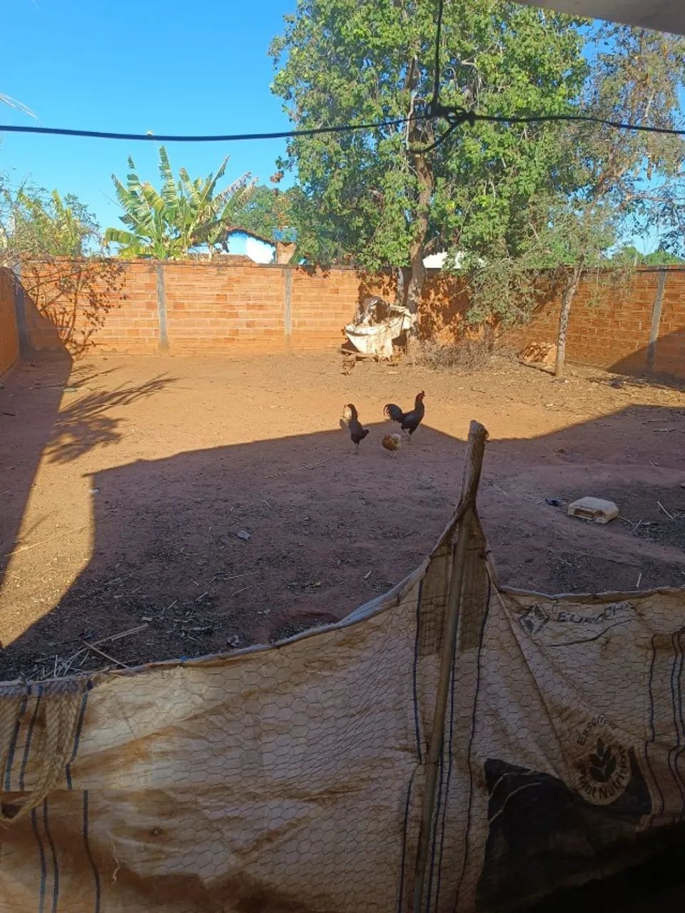 Casa em  Silvanópolis  - Foto 2