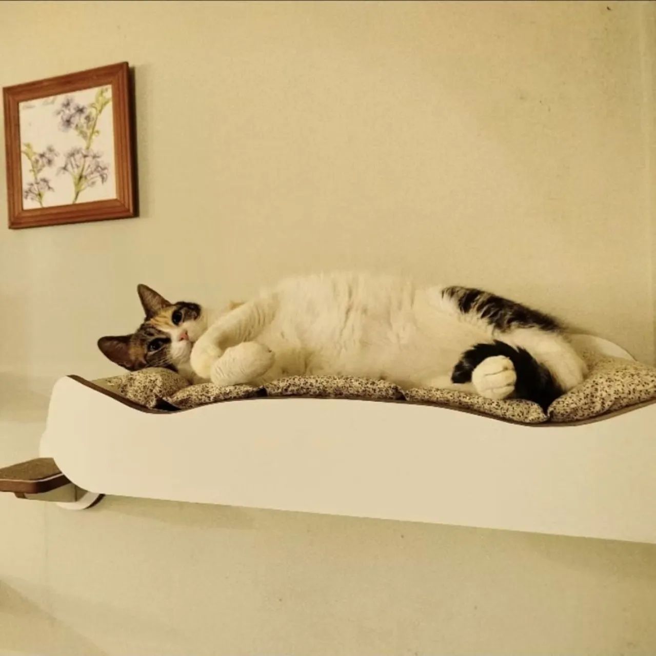 Playground para Gato - Foto 2