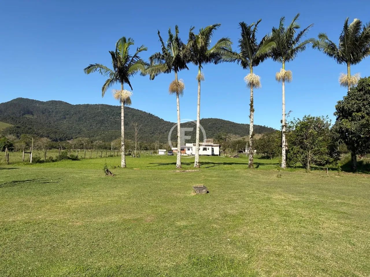 Sítio 9000m² - Prado de Baixo - Foto 3