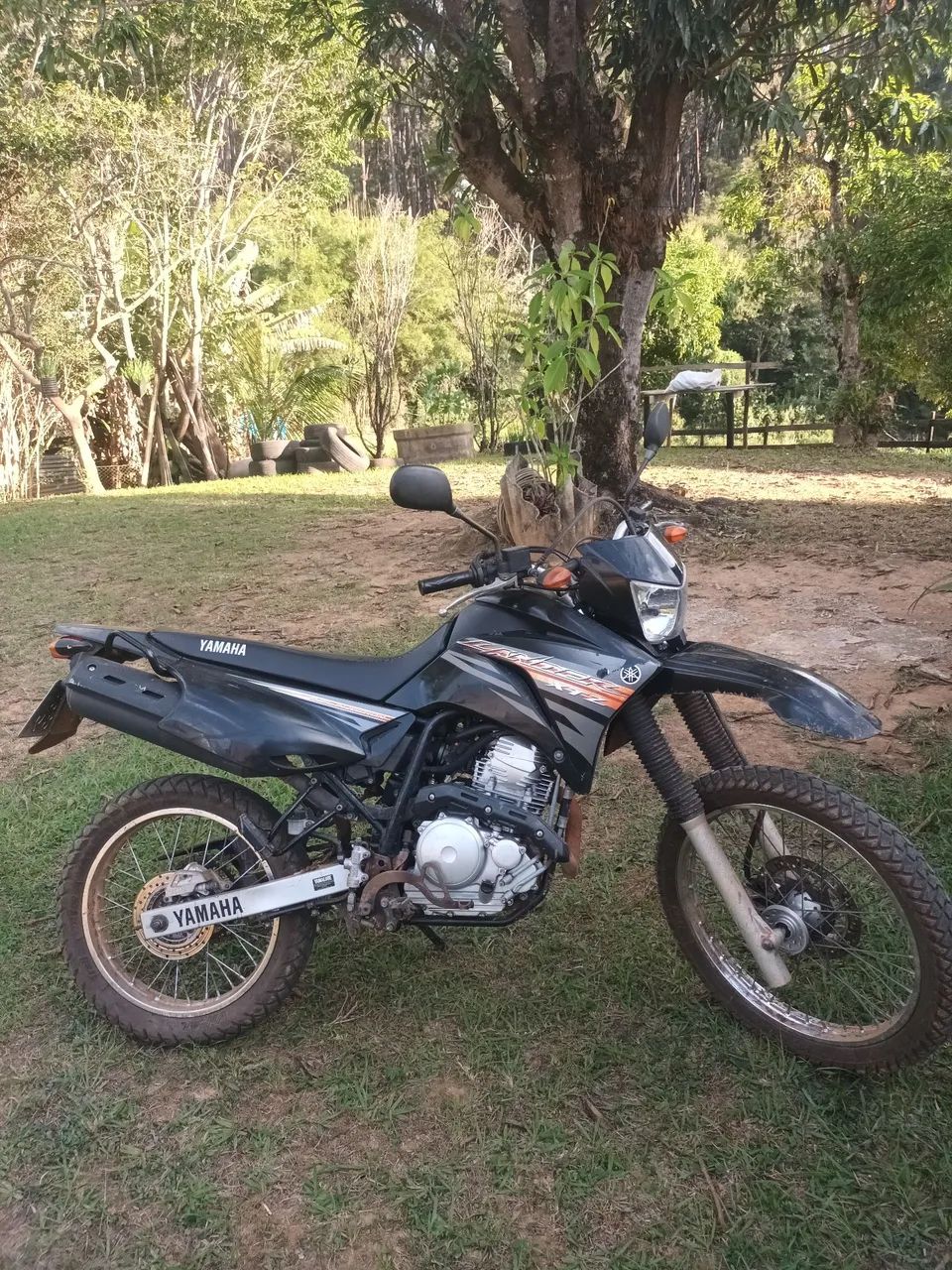 Lander 250 - Foto 3