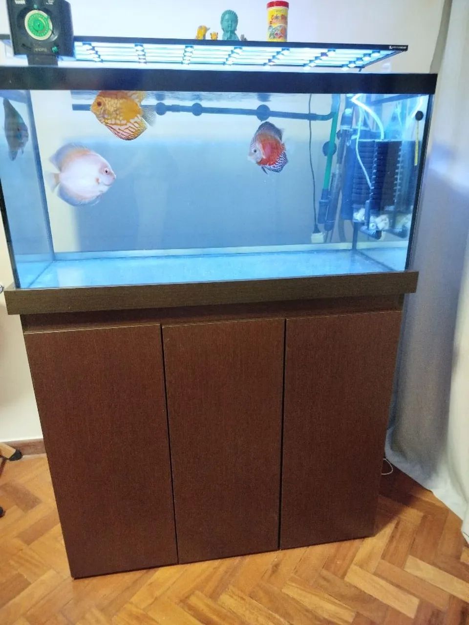Aquário 250 Litros