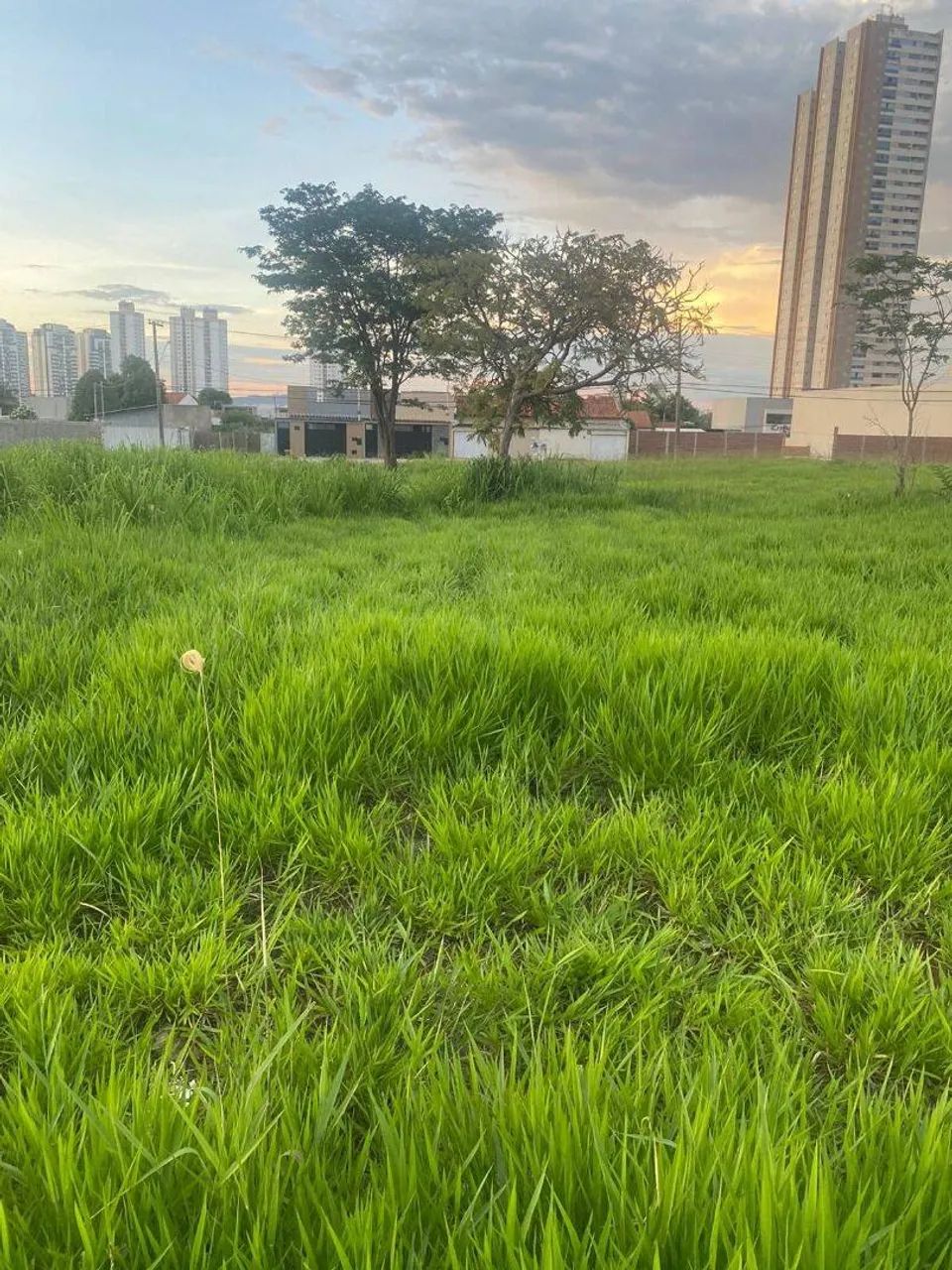LOTE NO JARDIM ATLÂNTICO - Foto 5