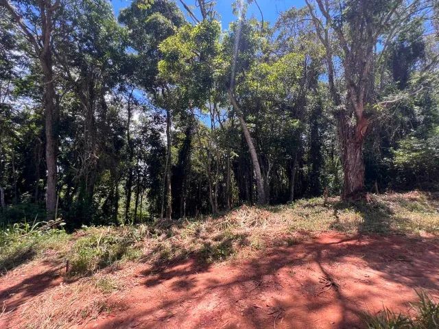 VENDO TERRENO A 600MTS DA REPRESA DE ITUPARARANGA  - Foto 3