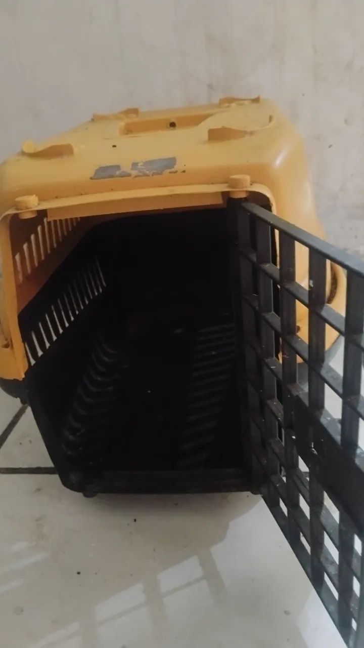Caixa p transportar Gato 
