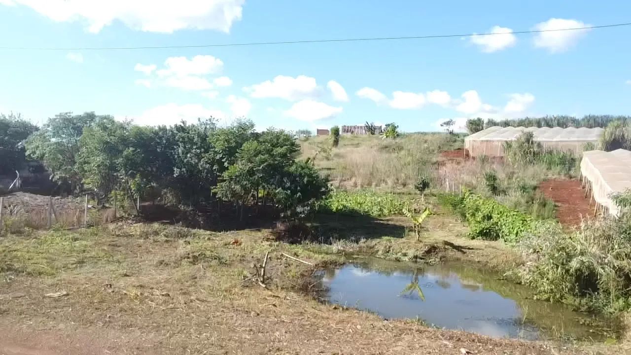 Chácara 1000m2 - Foto 4