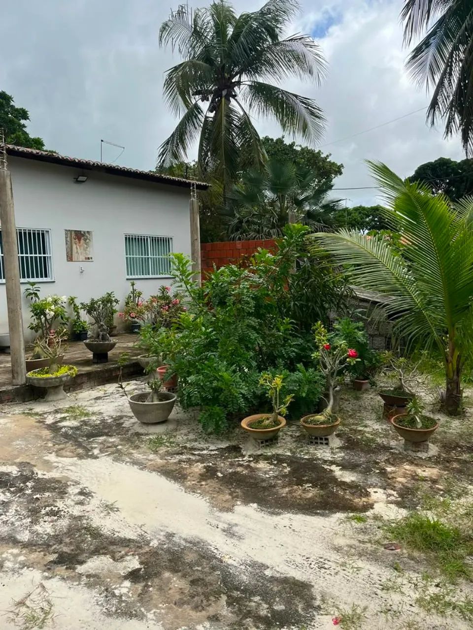 Casa em Cascavel a venda - Foto 3