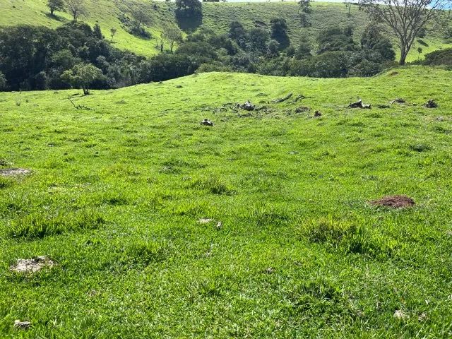 Chácara em Paraisópolis 12.000 m2 - Só terra - Foto 3