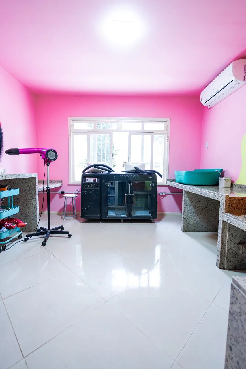Petshop - Foto 5
