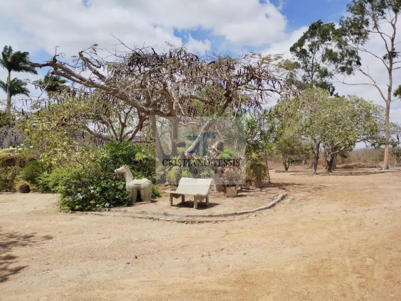 Fazenda Santa Zélia - Foto 4