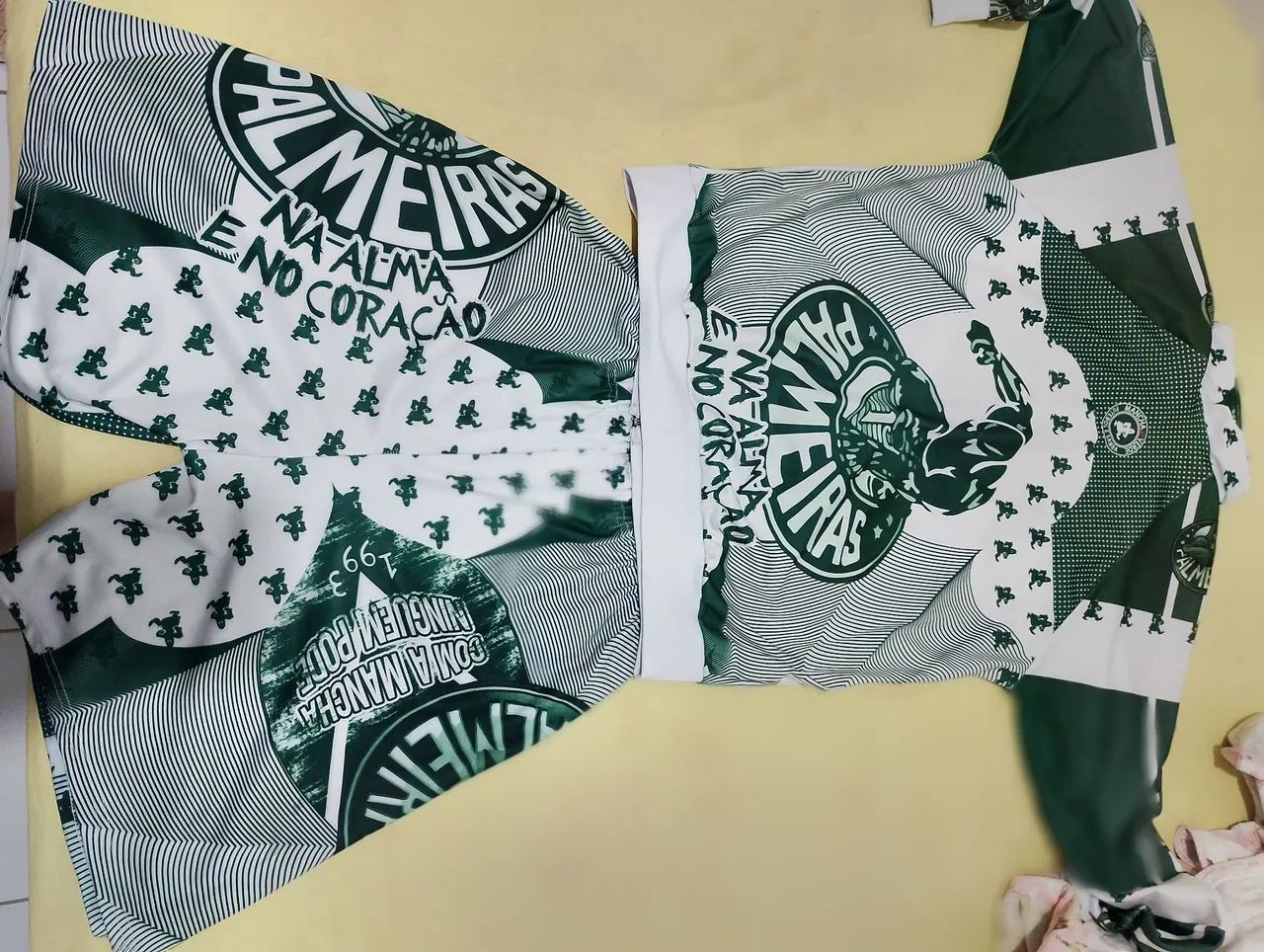 Blusão e bermudão da mancha verde do palmeiras 