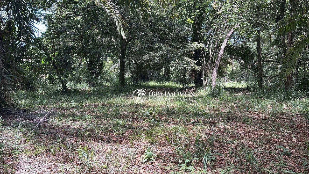 Lote Pedro Grande