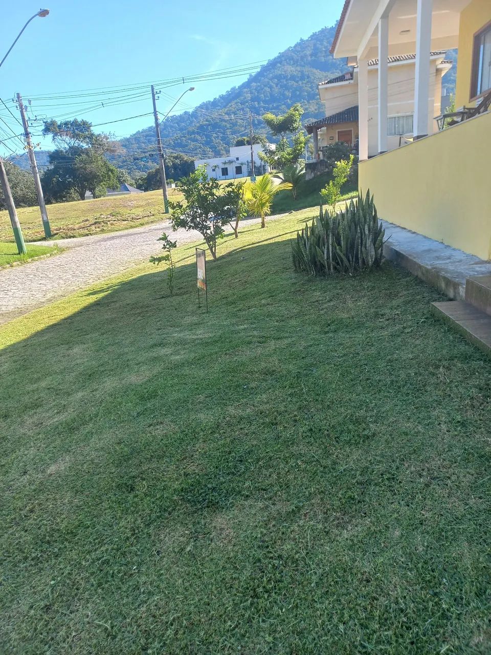 Serviço de jardinagem - Foto 5