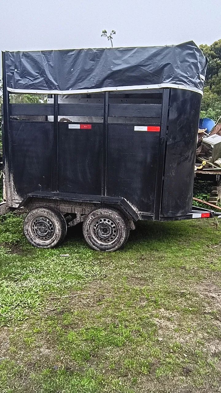 Carretinha cavalo 2026 