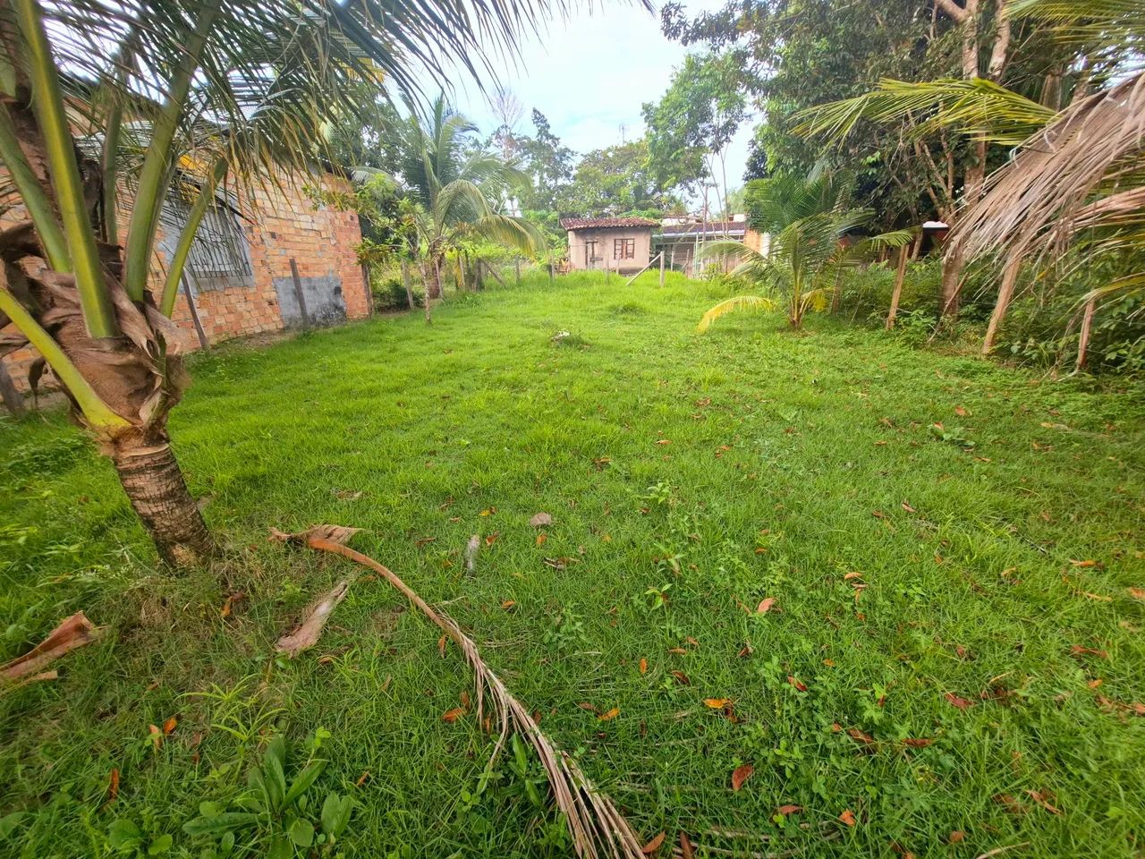 Terreno em Cotijuba - Vai quem quer - Foto 4