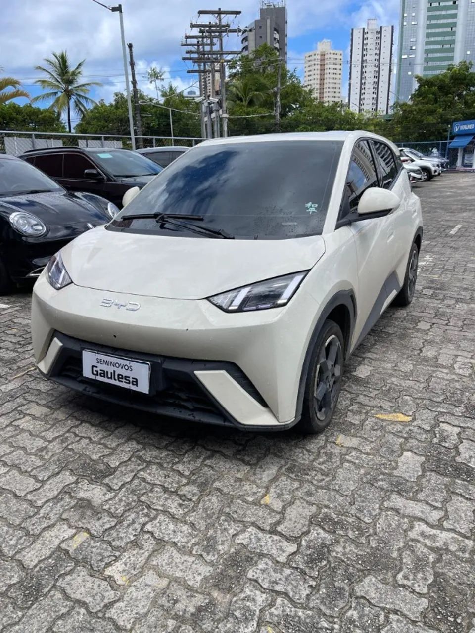 BYD Dolphin Mini (Elétrico) 2025 - Foto 3