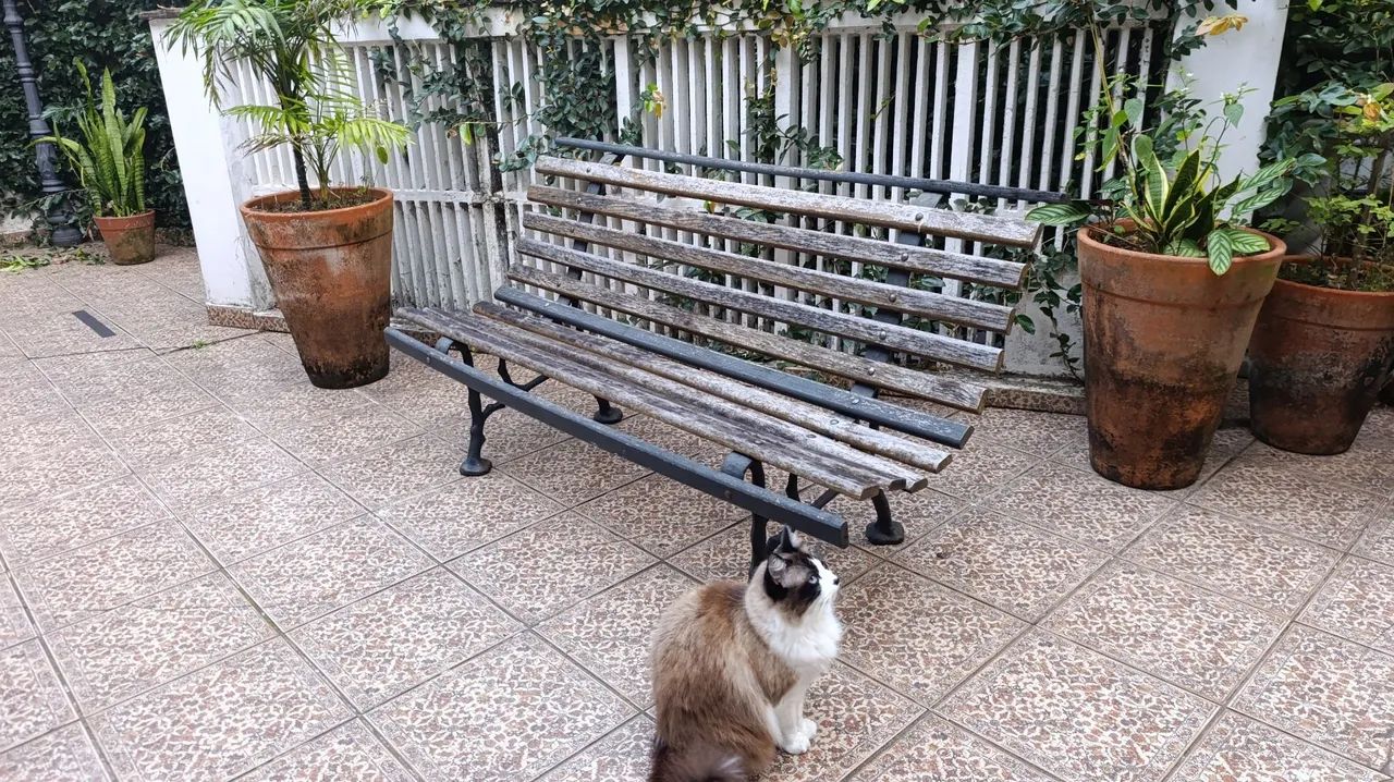 Banco de madeira Jardim/Praça  - Foto 4