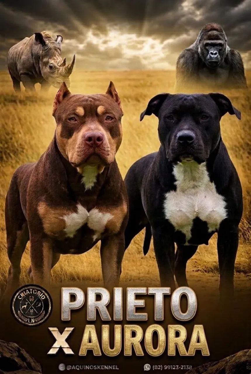 Filhotes Pit Monsters 