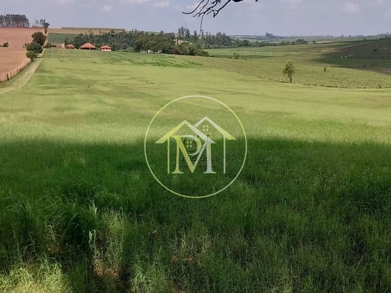 Haras Rural à venda, , - HA0081. - Foto 3