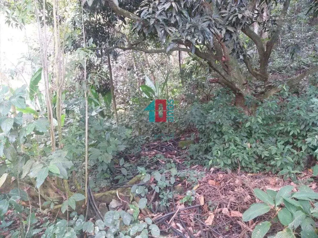 Vargem Pequena | Terreno - Foto 5