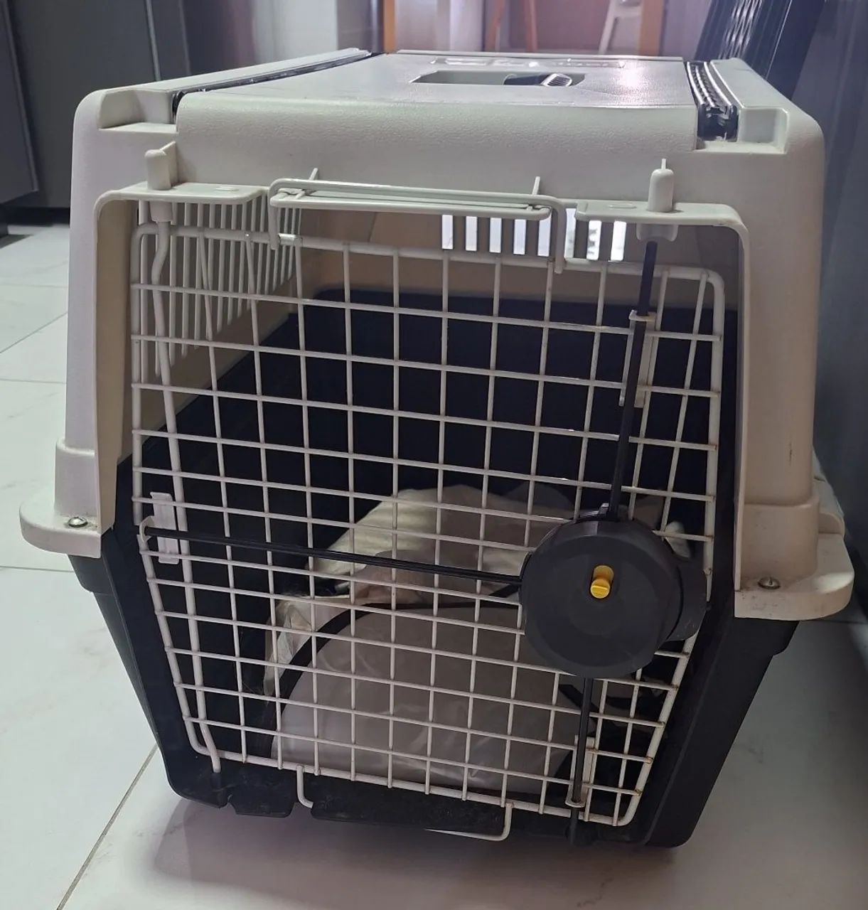 Caixa transporte  para cachorro 