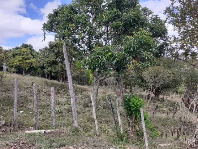 Lote 822m²