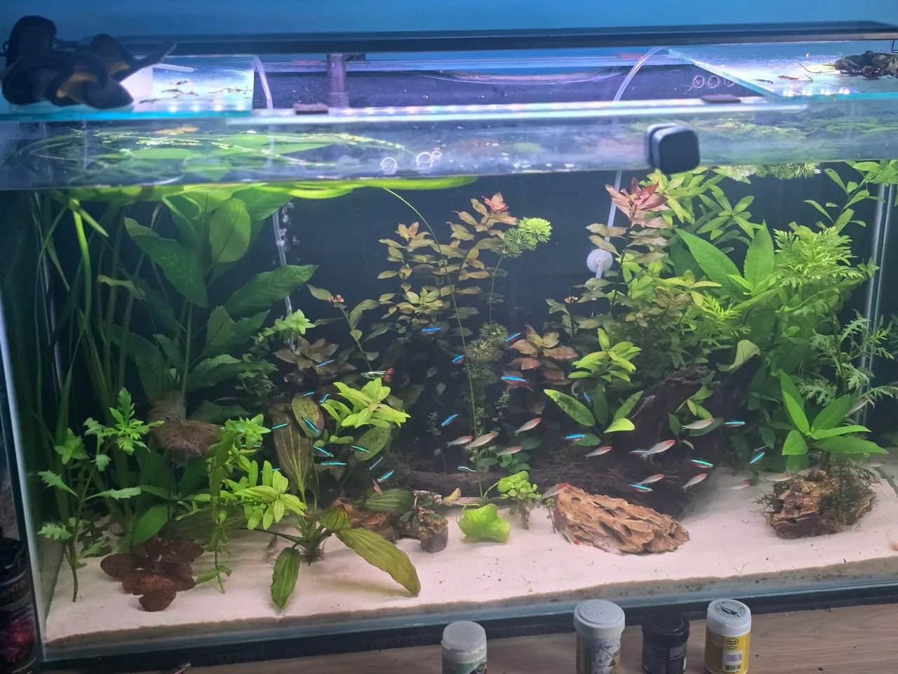 Aquario completo 200 ltrs  - Foto 2