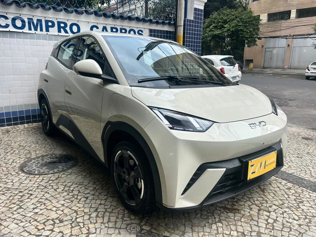 BYD Dolphin GS (Elétrico) 2025 - Foto 2