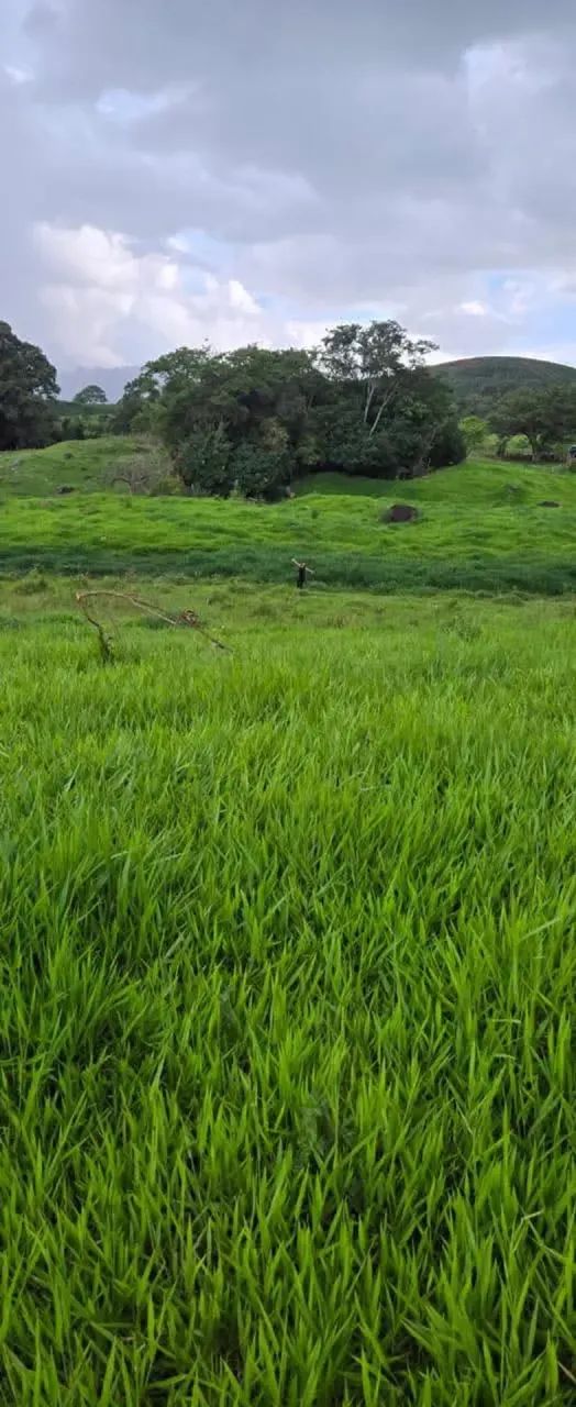 Campo das Nascente SM - Foto 4