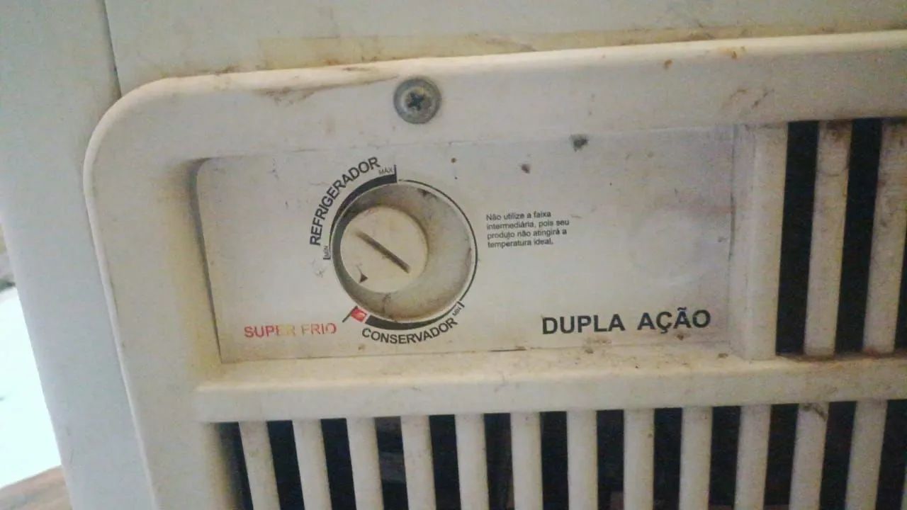 Frizer Horizontal 300L - Foto 2