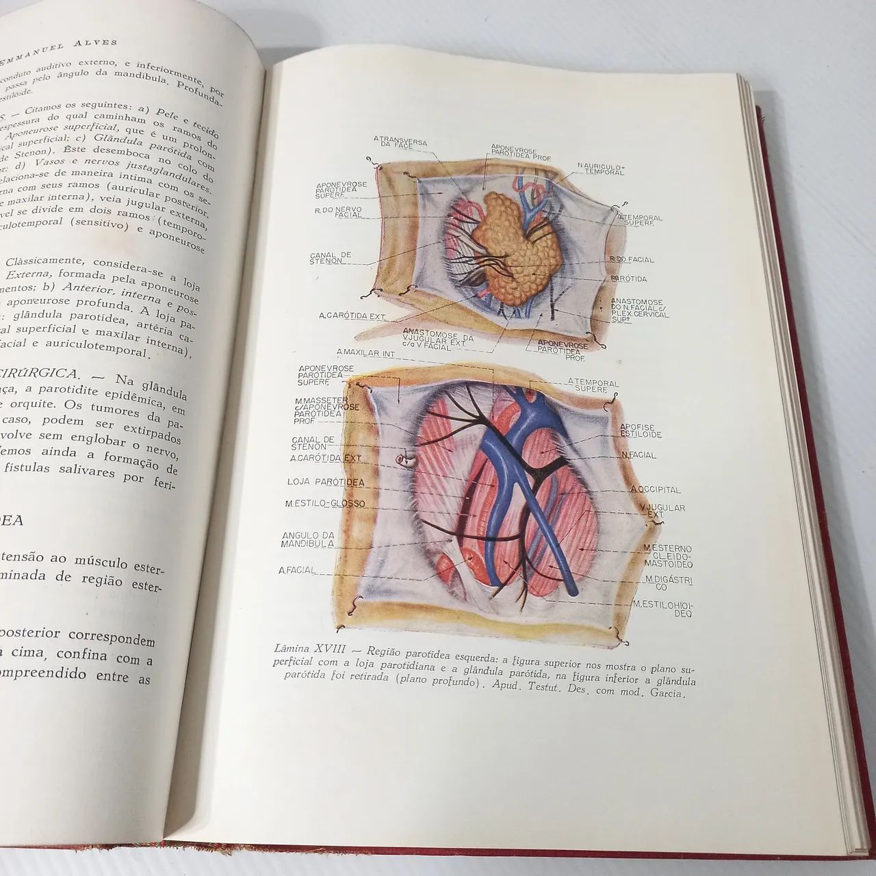 Anatomia  topográfica Autogrado pelo autor Emanuel Alves - Foto 4