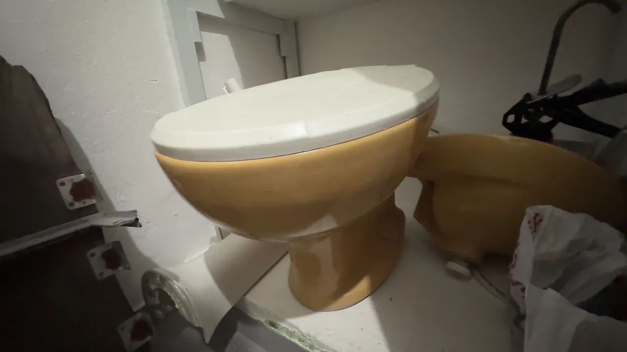 Toilet Bowl