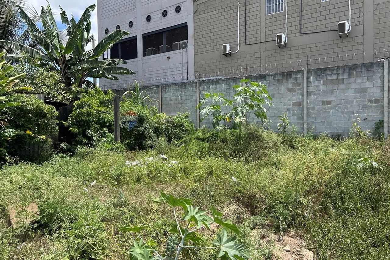 Terreno com 154 m2 , Na Cidade universitária - Foto 5