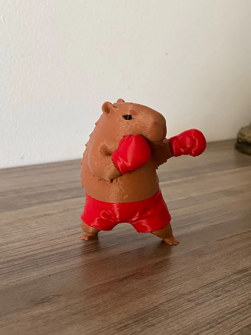 Capivara Boxeadora - Foto 2