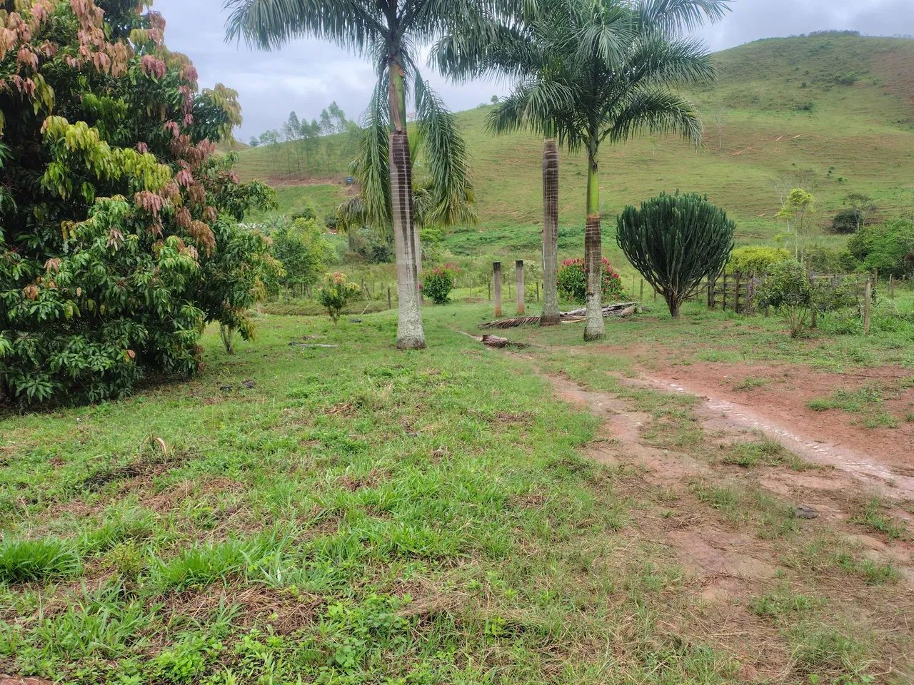 Alugo chácara na roça. - Foto 4