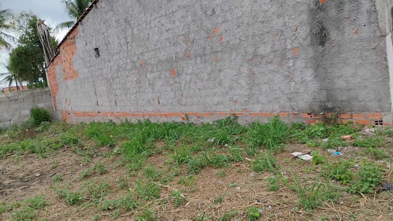Terreno - Foto 2