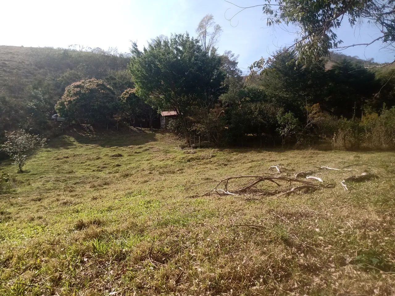 SÍTIO COM 30.7 HECTARES EM JAMBEIRO - Foto 4