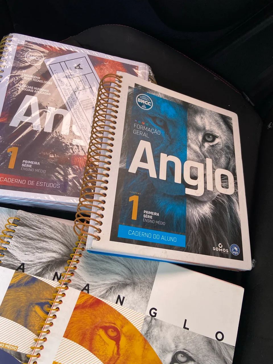 Livros Novos Anglo Ensino médio 