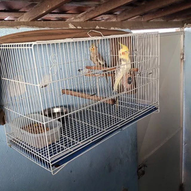 Gaiol@ complet@ ©alops!t@ c@sal - Foto 3