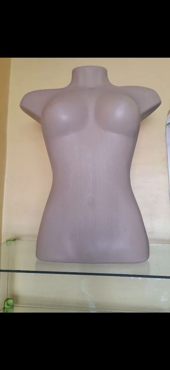 Manequim meio corpo