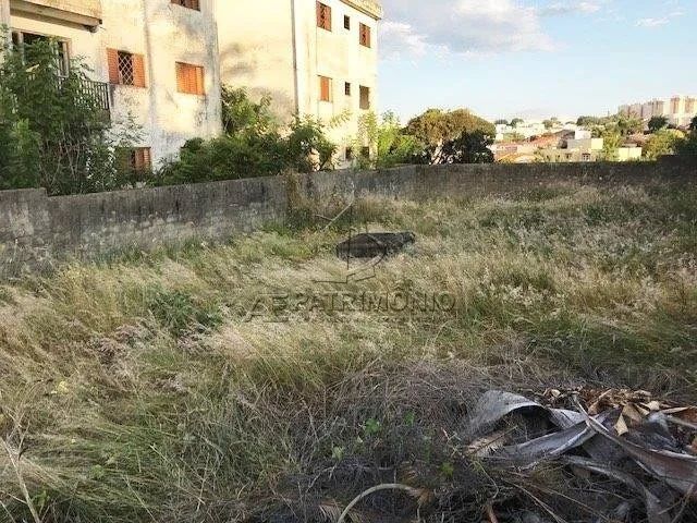 TERRENO,0 Dormitorio(s) bairro Europa - Foto 5