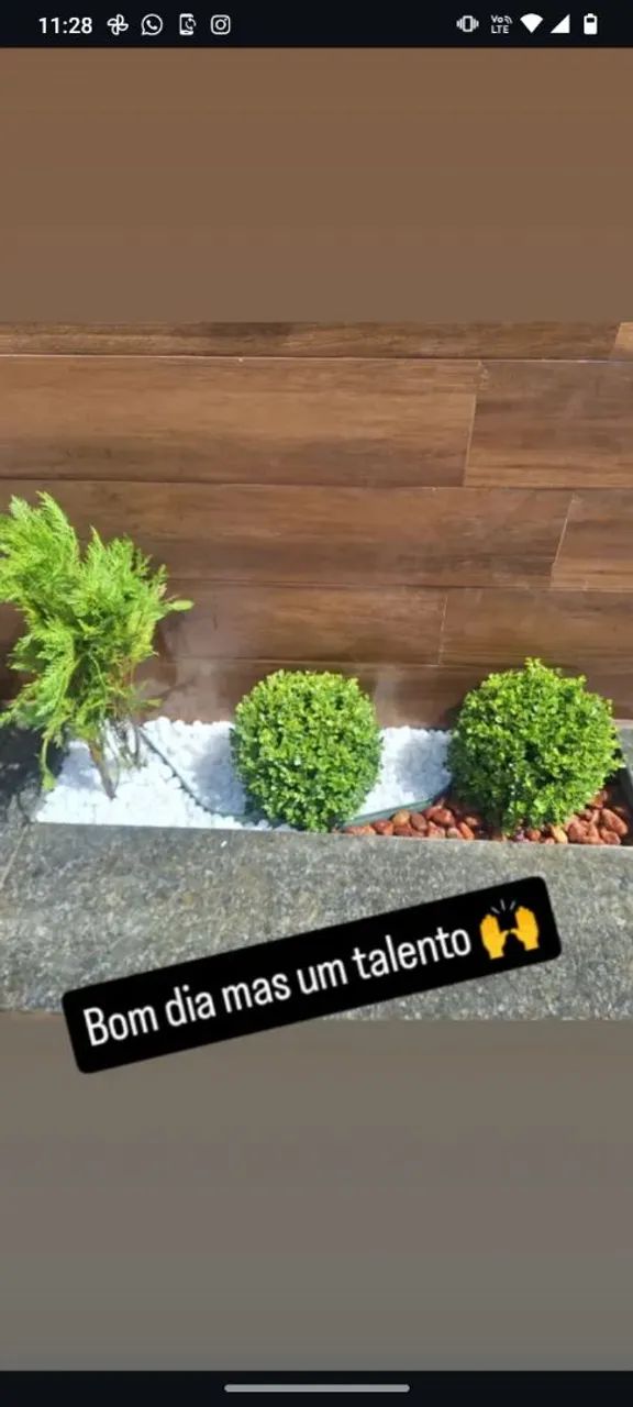 Serviço de Jardim na Barra dos Coqueiros - Foto 2