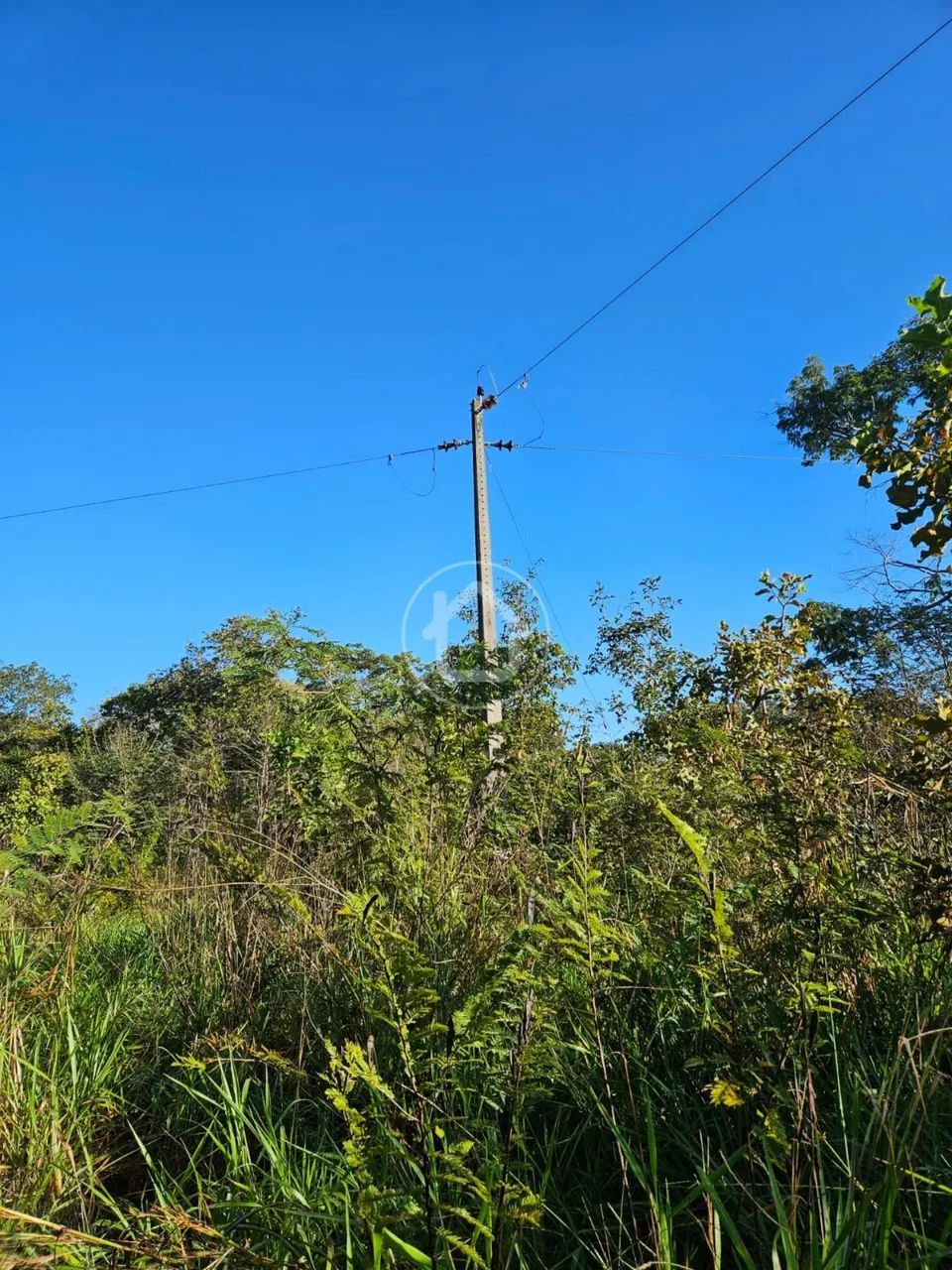 SITIO COM AÇUDE CAPÃO DE AROEIRA - Foto 5
