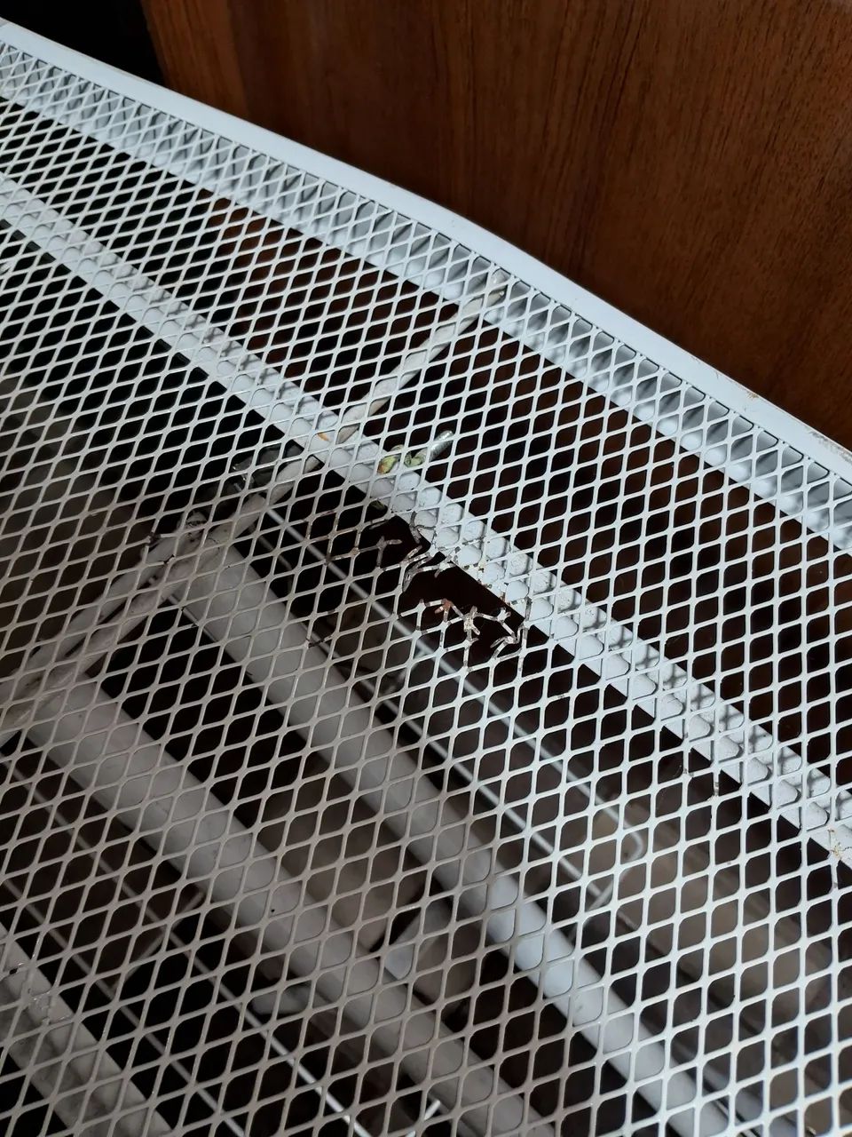 Taboa de passa roupas  - Foto 2