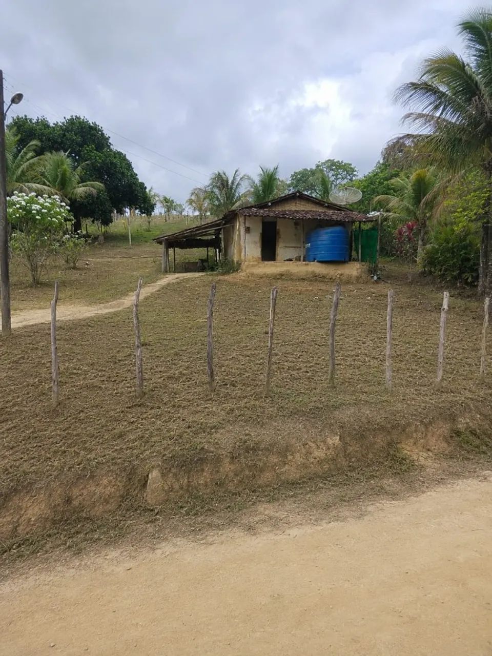 Vendo sítio no povoado Riacho Branco em Joaquim Gomes  - Foto 2