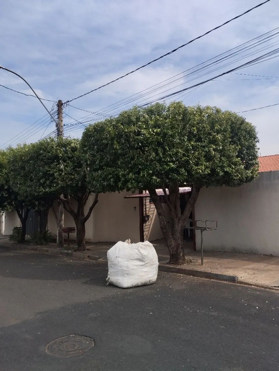 Podar a árvore é bem estar pessoal e coletivo  - Foto 3
