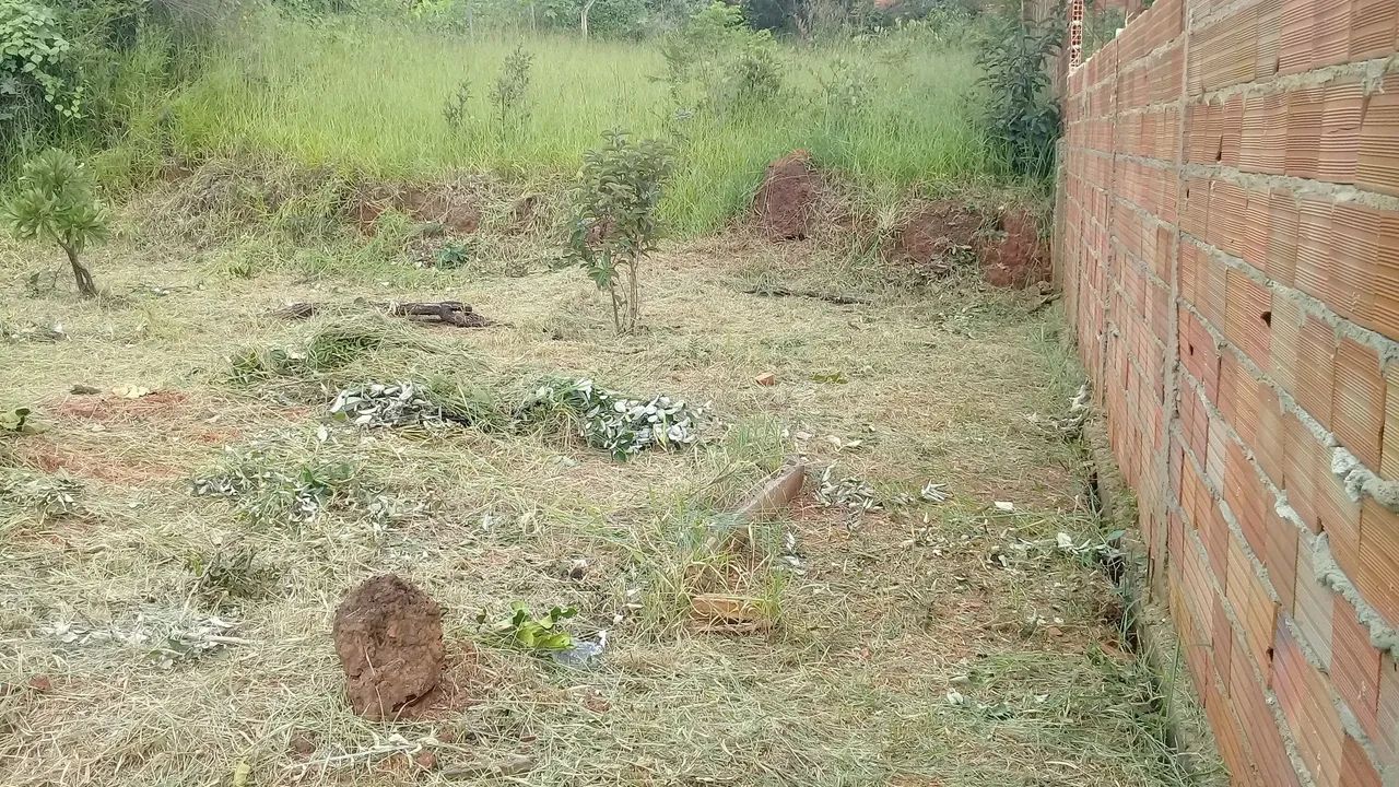 Lote de 452m2 - Foto 3
