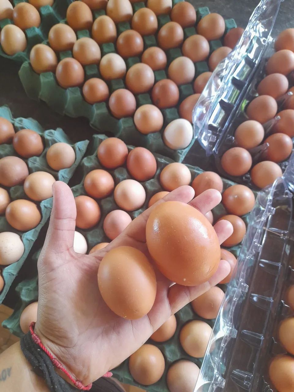 Ovos de galinha caipira - Foto 4