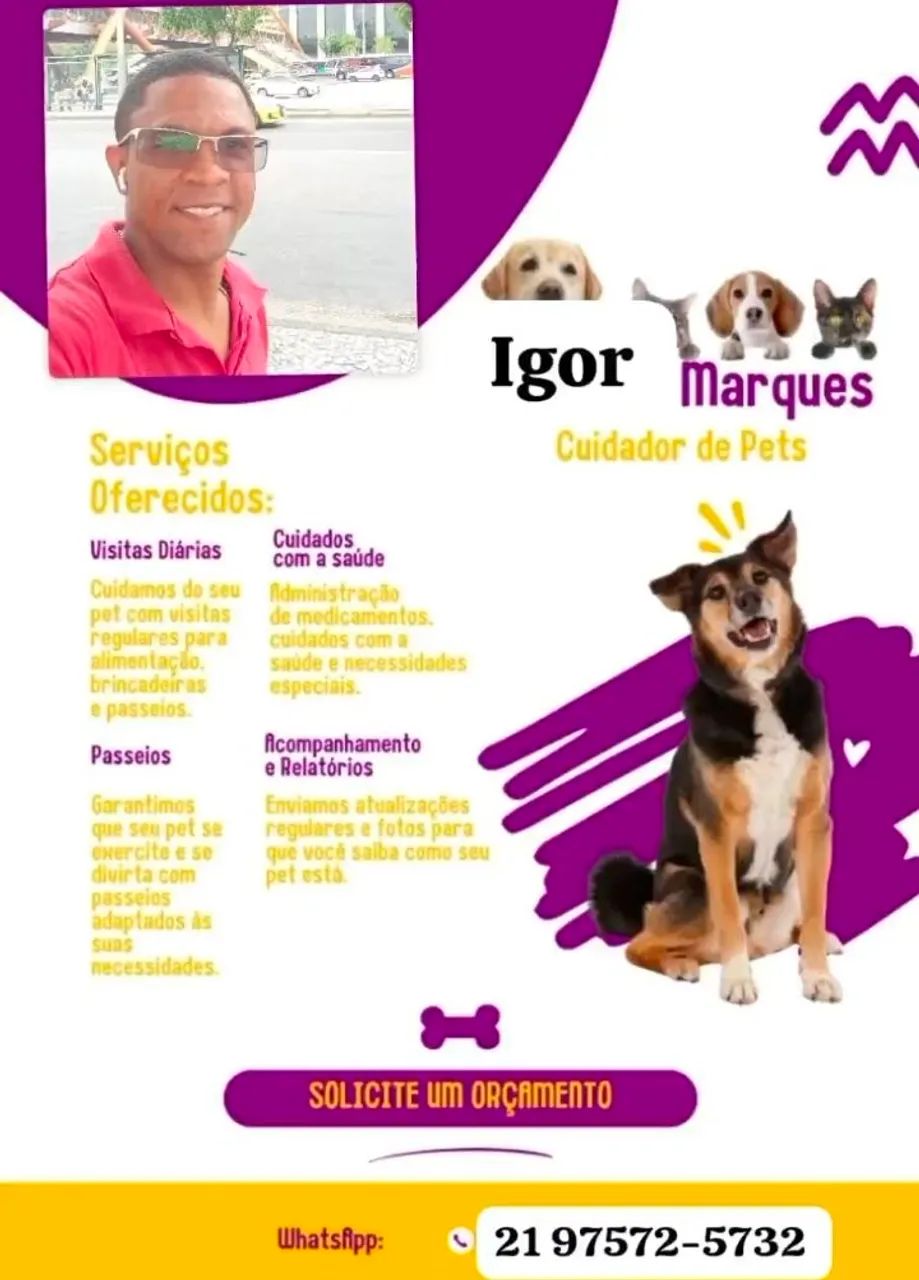 Passeio e adestramento de cachorros ! - Foto 4