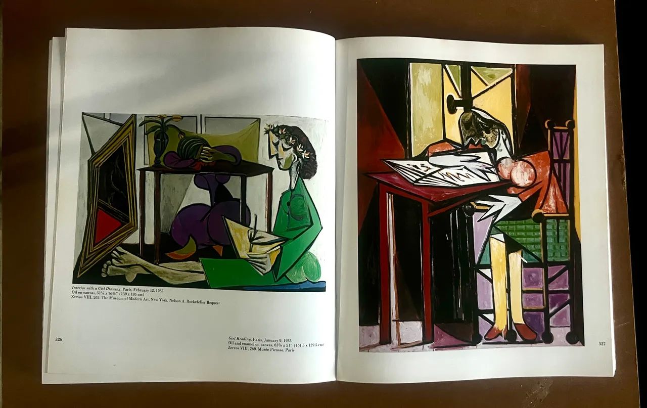 Picasso 357 版画集 livro do Pablo Picasso - Livros e revistas - Itacorubi